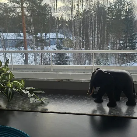 Himos,halli, Vehkaojan Viihtyisae Yksioe,a7 *