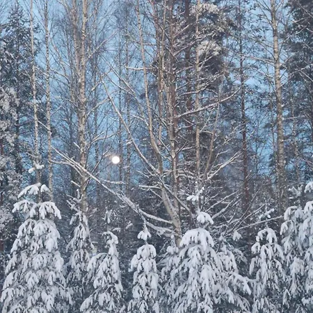 Daire Himos,halli, Vehkaojan Viihtyisae Yksioe,a7